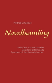 Paperback Novellsamling [Swedish] Book