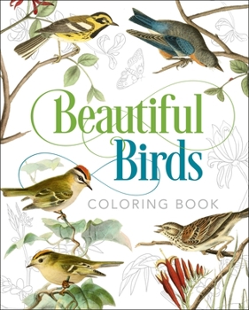 Paperback Beautiful Birds Coloring Book