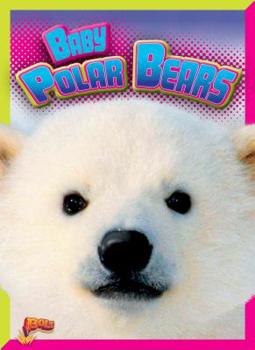 Paperback Baby Polar Bears Book