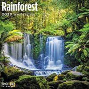 Calendar Rain Forest Wall Calendar 2020 Book