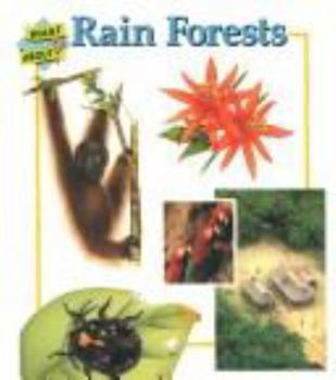 Paperback Rain Forests Sb-What about Book