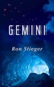 Paperback Gemini Book