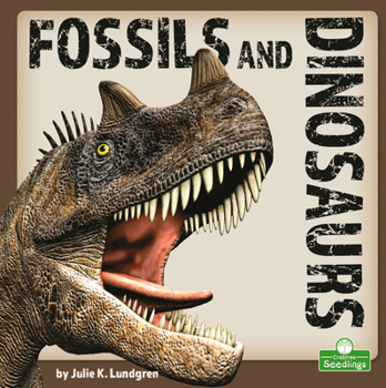 Library Binding Fossils and Dinosaurs Book