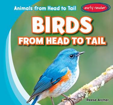 Birds from Head to Tail - Book  of the Animals from Head to Tail
