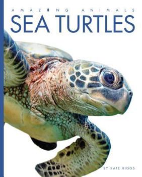 Hardcover Amazing Animals Sea Turtles Book