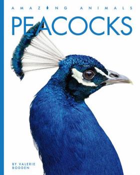 Peacocks - Book  of the Animals are Amazing