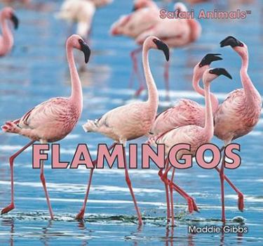 Flamingos - Book  of the Safari Animals