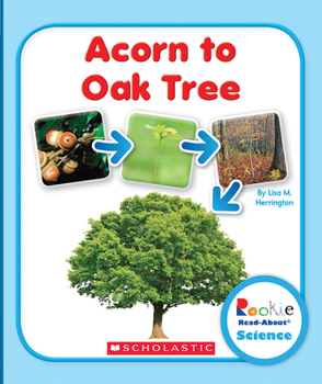 Acorn to Oak Tree - Book  of the Rookie Read-About Science