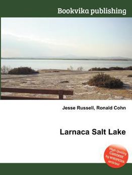 Paperback Larnaca Salt Lake Book