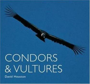 Paperback Condors and Vultures Book