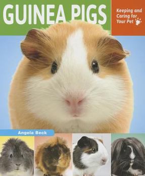 Paperback Guinea Pigs: Keeping and Caring for Your Pet Book