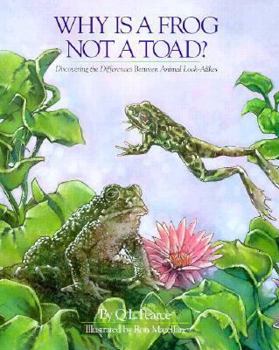 Hardcover Why is a Frog Not a Toad? Book