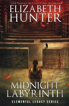 Paperback Midnight Labyrinth Book