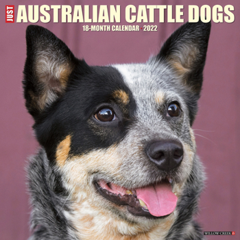 Calendar Just Australian Cattle Dogs 2022 Wall Calendar (Dog Breed) Book