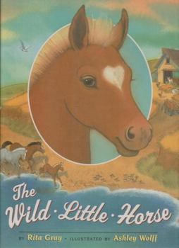 Hardcover The Wild Little Horse Book
