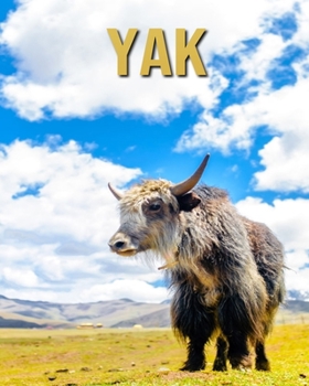 Paperback Yak: Incredible Pictures Book about Yak Book