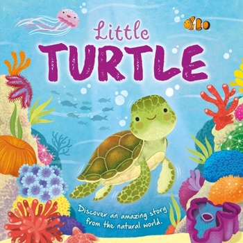 Board book Nature Stories: Little Turtle-Discover an Amazing Story from the Natural World: Padded Board Book