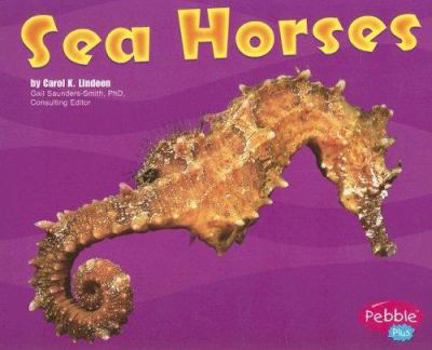 Paperback Sea Horses: Under the Sea Book