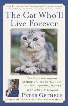The Cat Who'll Live Forever: The Final Adventures of Norton, the Perfect Cat, and His Imperfect Human - Book #3 of the Norton the Cat