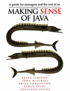 Paperback Making Sense of Java Book