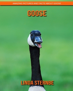 Paperback Goose: Amazing Pictures and Facts About Goose Book