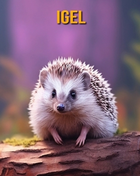 Paperback Igel: Buch mit lustigen Fakten für Kinder [German] Book