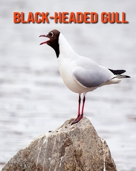 Paperback Black-Headed Gull: Fun Learning Facts About Black-Headed Gull Book