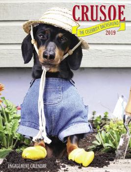 Calendar Crusoe the Celebrity Dachshund 2019 Engagement Calendar (Dog Breed Calendar) Book