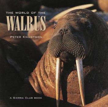 Hardcover The World of the Walrus Book