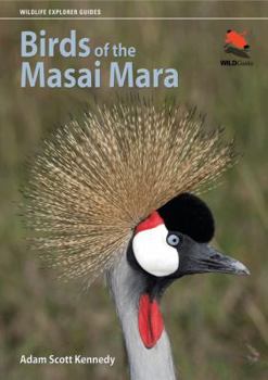 Birds of the Masai Mara - Book  of the Wildlife Explorer Guides