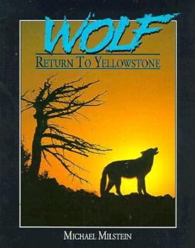 Paperback Wolf: Return to Yellowstone Book