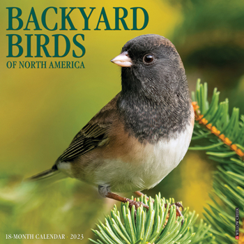 Calendar Backyard Birds 2023 Wall Calendar Book