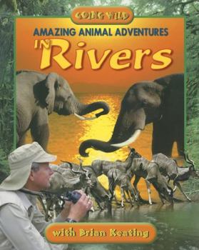 Paperback Amazing Animal Adventures in Rivers Book