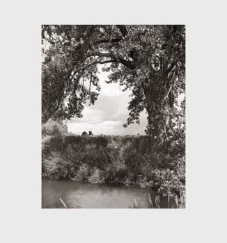 Hardcover Robert Adams: Cottonwoods Book