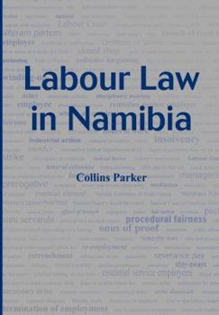 Paperback Labour Law in Namibia Book