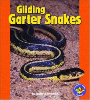 Library Binding Gliding Garter Snakes Book
