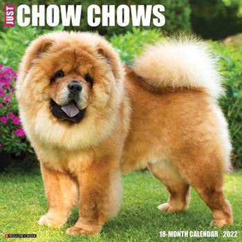 Calendar Just Chow Chows 2022 Wall Calendar (Dog Breed) Book