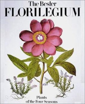 Hardcover The Besler Florilegium: Plants of the Four Seasons Book