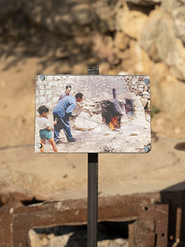 Paperback Nida Sinnokrot: Palestine Is Not a Garden Book