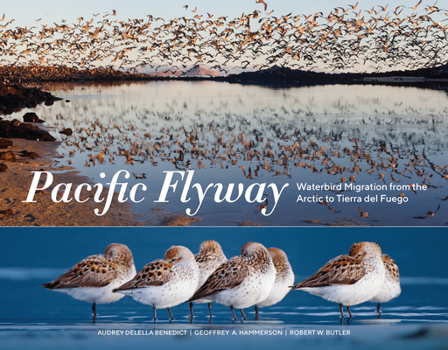 Paperback Pacific Flyway: Waterbird Migration from the Arctic to Tierra del Fuego Book