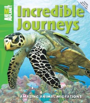 Hardcover Incredible Journeys: Amazing Animal Migrations Book