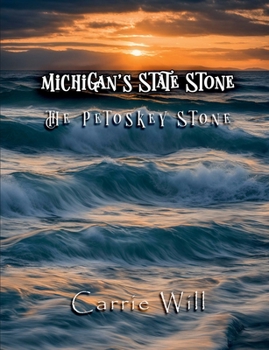 Paperback Michigan's State Stone Book