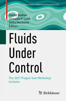 Paperback Fluids Under Control: The 2021 Prague-Sum Workshop Lectures Book