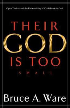 Paperback Their God Is Too Small: Open Theism and the Undermining of Confidence in God Book