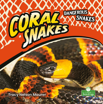 Paperback Coral Snakes Book
