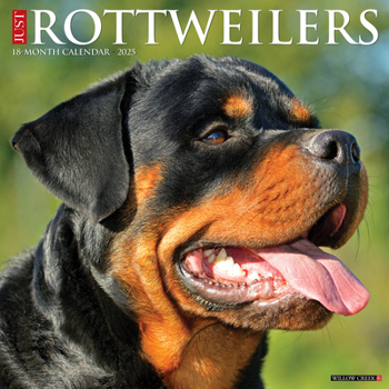 Calendar Just Rottweilers 2025 12 X 12 Wall Calendar Book