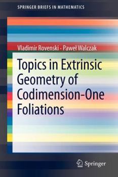 Paperback Topics in Extrinsic Geometry of Codimension-One Foliations Book