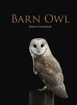 Hardcover Barn Owl Book