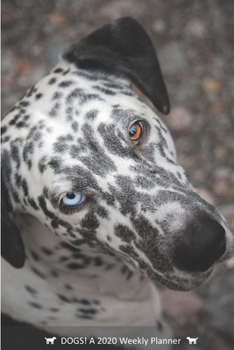 DOGS! A 2020 Weekly Planner: Cover Dog: November (Best Laid Plans)