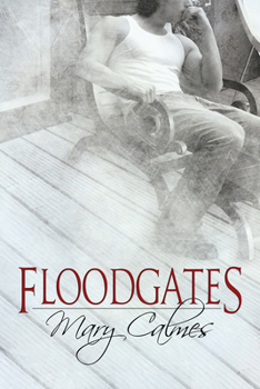 Paperback Floodgates Book